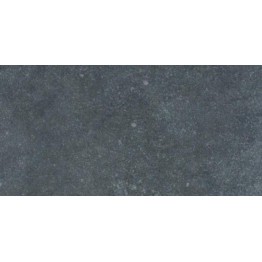 Gạch ốp tường Trường Thịnh ANCIENTSTONE BE306117